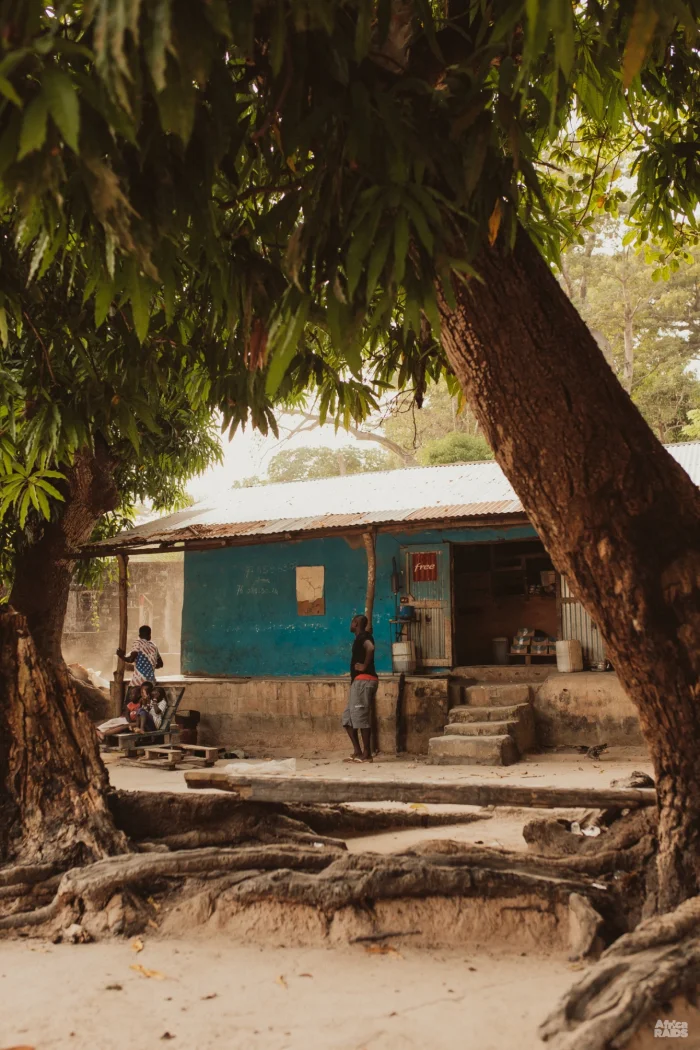 Bouyouye & Diembering — Villages casamançais et forêt de fromagers