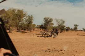 Grand Tour du Nord