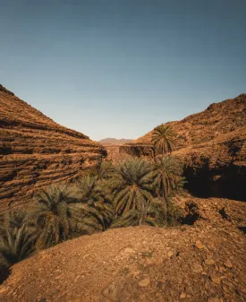 Adrar Mauritanien