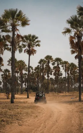 Un jour dans le Saloum