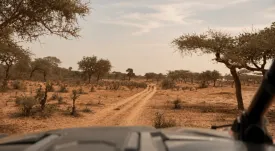 Lompoul - Saint-Louis - Koba