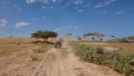Désert de Lompoul - Saloum