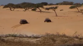 Désert de Lompoul - Saloum