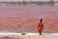 Lac Rose Sénégal
